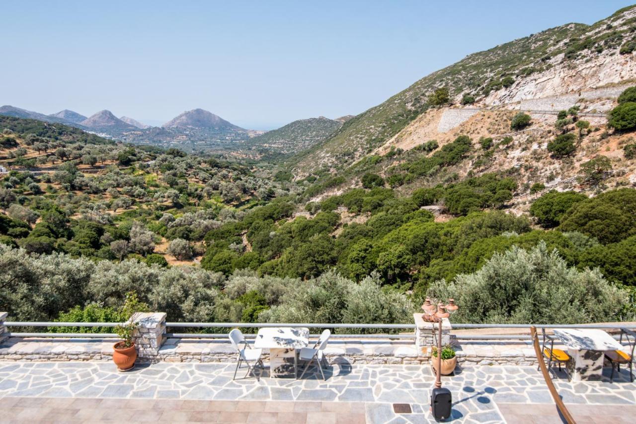 Elaiolithos - Luxury Villa Suites - Adults Only Khalkíon Eksteriør billede